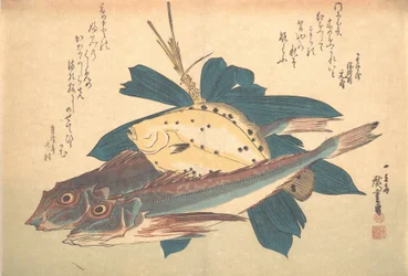 Kanagashira en Karei vis, uit de serie Uozukushi Elke variëteit van vis, 1830s