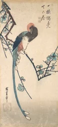 Langstaartvogel