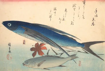 Tobiuo en Ishimochi vis, uit de serie Uozukushi Elke soort vis, 1840s