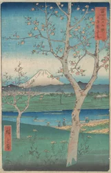 Uitzicht op de berg Fuji vanuit Koshigaya, provincie Musashi, 4e maand, paardenjaar 1858
