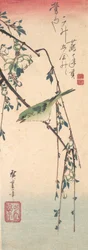Zanger op een pruimentak, ca. 1835