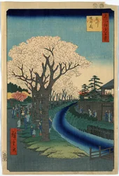 Prent toont toeschouwers die kersenbloesems bekijken langs de oevers van de Tama-rivier in Edo, houtsnede door Ando Hiroshige