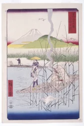 De Sagami-rivier (Sagamigawa)