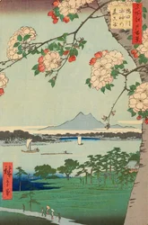 De Suijin bossen en Massaki aan de Sumida rivier