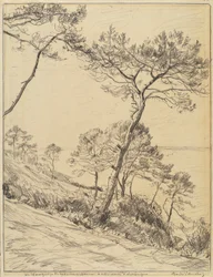 Landschap