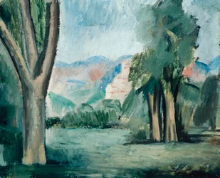 Landschap van de Provence