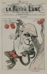 Darwin als aap op La Petite Lune