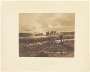 [De vijvers van Optevoz, Rhône].