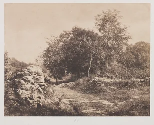 Ongetiteld tafereel van Fontainebleau, ca. 1853