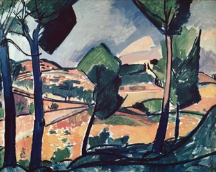 Provençaals landschap