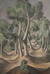 De Grove