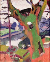 De oude boom