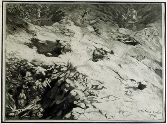 Schelpen Gaten