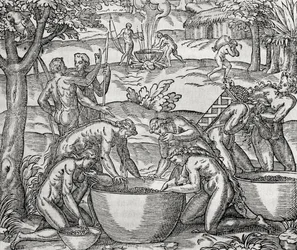 Cap de Frie, vrouwen bereiden voedsel, gravure, Zuid-Amerika