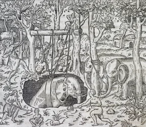 Olifantenjacht op het eiland Java, gravure uit Universele Kosmologie, door Andre Thevet, Parijs
