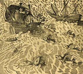 Vliegende vissen in tropische zeeën, gravure uit Cosmographie Universelle, door André Thevet (1504-1592), Parijs
