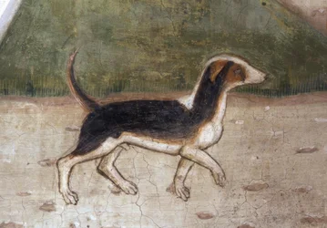 Atri, Kathedraal, Hond / Fresco door A. Delitio