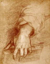 Madonna hand met boek