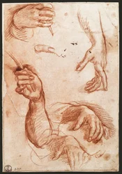 Studie van handen (houtskooltekening)
