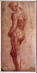 Studie van mannelijk naakt, sanguinetekening van Andrea del Sarto (1480-1530). 16e eeuw. Parijs, Louvre Museum