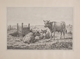 Deens: Een stier en twee koeien