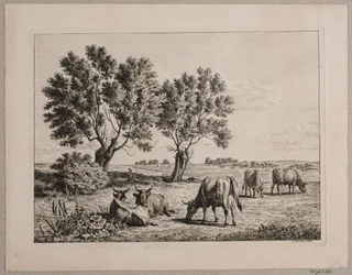 Landschap met grazend vee