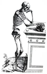 De platen uit het zevende boek van de De Humani Corporis Fabrica