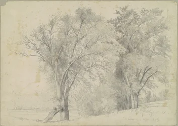Iepen, Hudson
