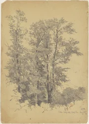 Eiken, Wolf Hill, Ulster County