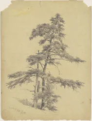 Bomen, West Virginia