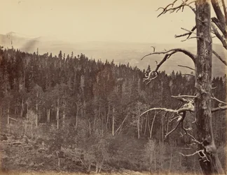 Plaat 13. Sneeuw en houtlijn, Laramie Mountains,1869 (foto)