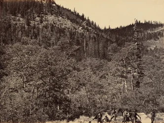 Plaat 19. Tussen het hout aan de kop van de Little Laramie River,1869 (foto)