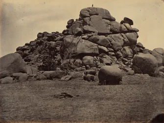 Plaat 6. Schedelrots,1869 (foto)