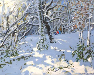 Kerst sleeën in Allestree Woods, 2013