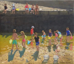Krabben in de haven, Bude, Cornwall