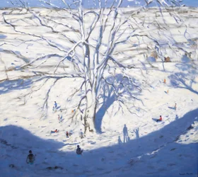 Heuvel, Elton nabij Rowsley, 2008