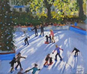 Schaatsen, Natuurhistorisch Museum, 2014
