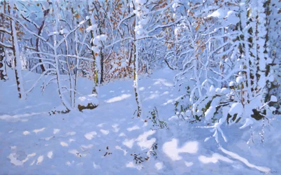 November Sneeuw, Allestree Woods, Derby