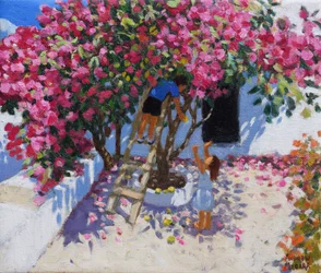 Citroenen plukken, Skiathos, Griekenland