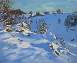 Sleeën, Derbyshire, 2011
