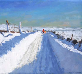 Sneeuwgeruimde weg, Derbyshire Peak District, 2019