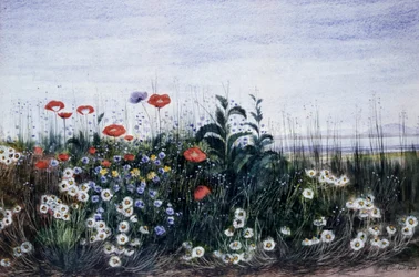 Veldbloemen. Schilderij van Andrew Nicholl (1804-1886) Privécollectie.
