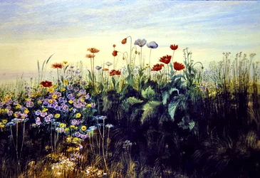 Wilde bloemen