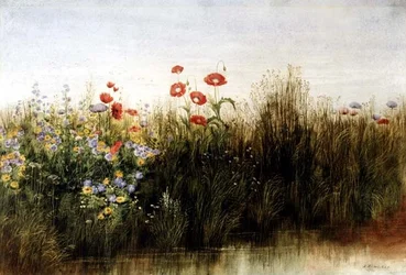 Wilde bloemen bij een stroom