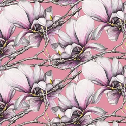 Magnolia