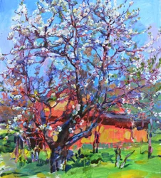 Een bloeiende lenteboom