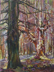 Zonovergoten winterbos