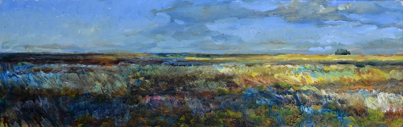 Uitgestrekt prairielandschap