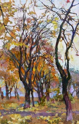 Levendige herfstbossen