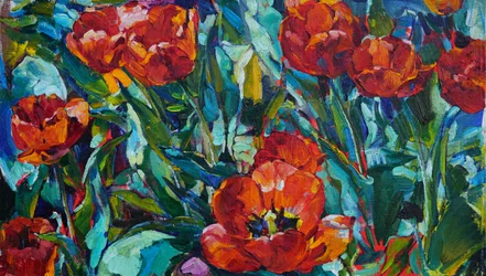 Levendige rode tulpen